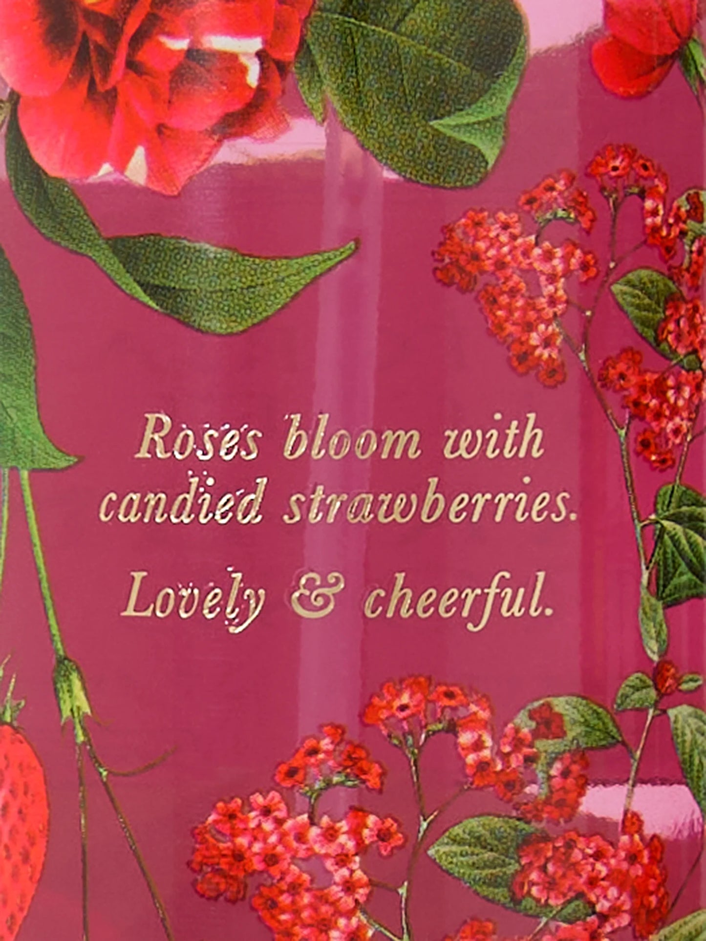 Splash corporal Charming Rose